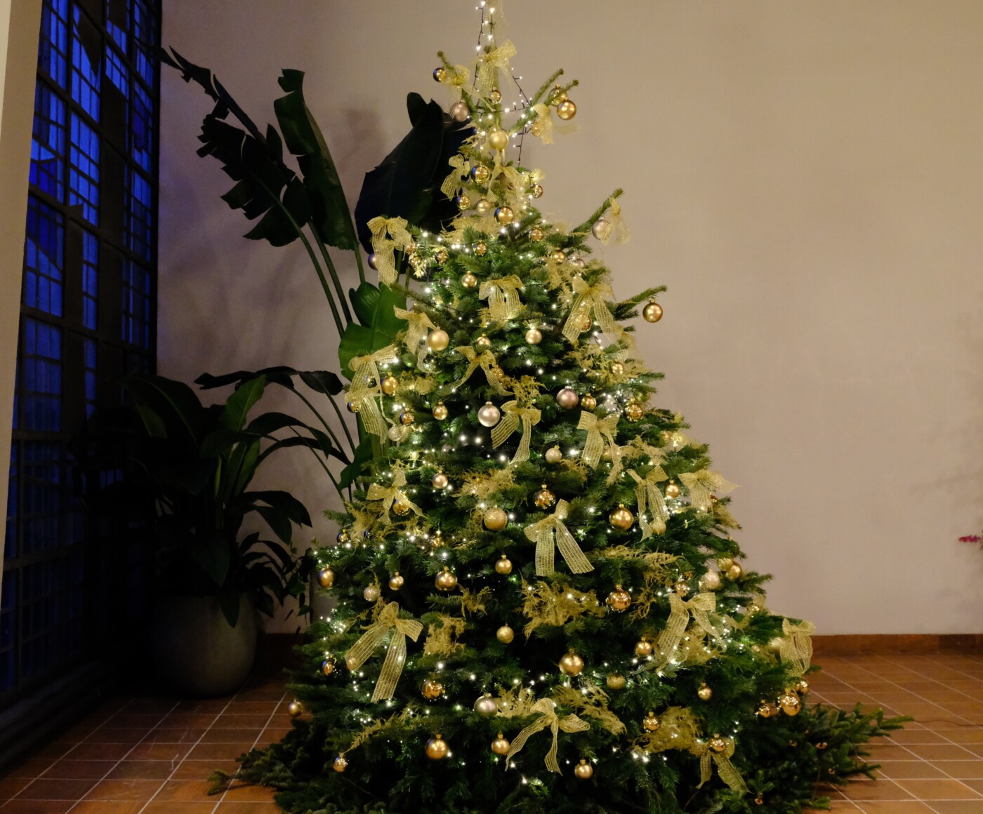 Weihnachtsbaum
